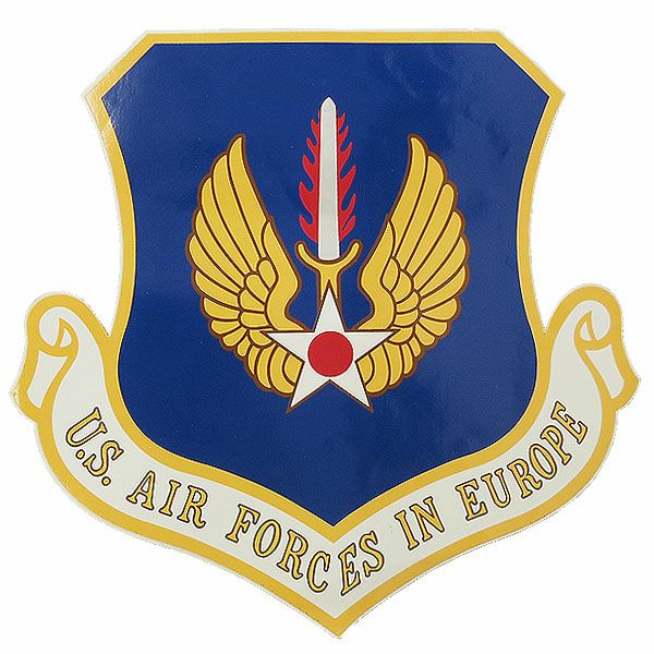 メール便可 アメリカ軍 U.S AIR FORCE シール ラージ デッドストック